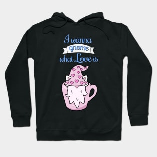 I wanna gnome what love is Hoodie